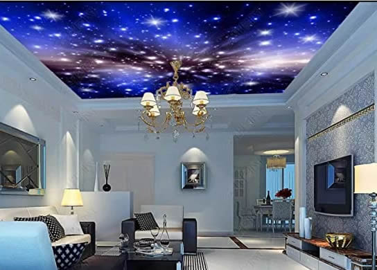 3D Ceiling she shed