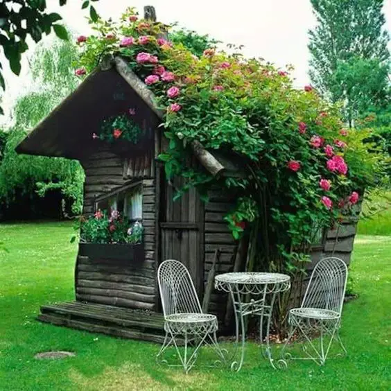 The log cabin in the woods she shed