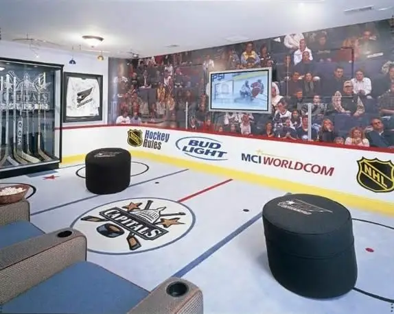 Ice hockey rink man cave