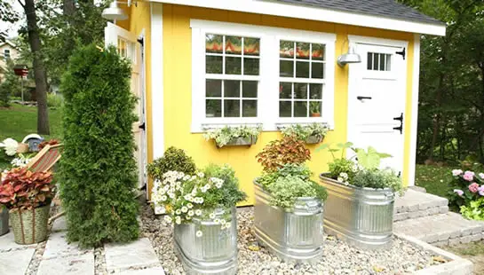 Potted plant she shed